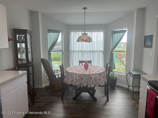 2404 Lema Drive, Spring Hill, FL 34609