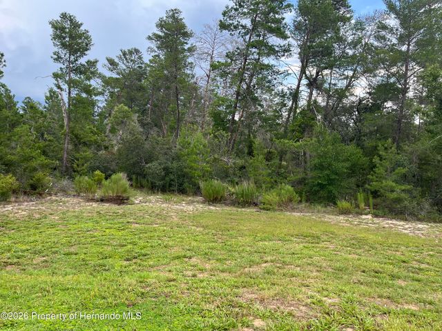 2404 Lema Drive, Spring Hill, FL 34609