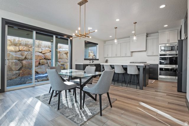 423 W RED WOLF DR, Saratoga Springs, UT 84045