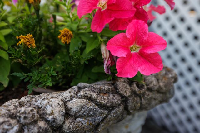 3155 HARPINE HWY, Rockingham, VA 22802