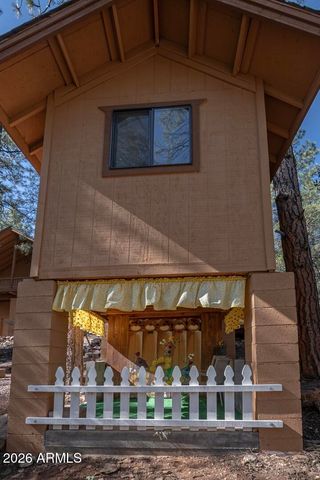 3923 N Mormon Lane, Pine, AZ 85544