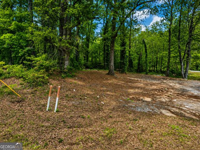 .36 ACRES Elm Street, Hampton, GA 30228