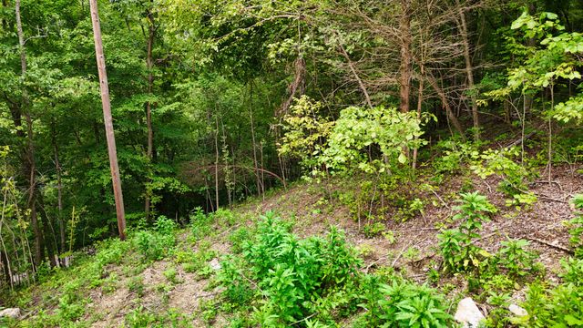 0 Sulphur Creek Rd, Nashville, TN 37218