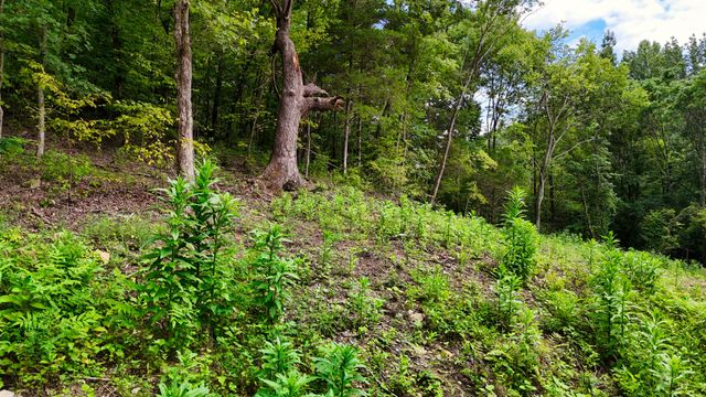 0 Sulphur Creek Rd, Nashville, TN 37218