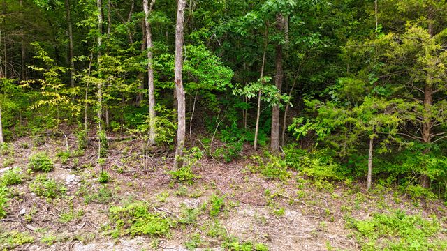 0 Sulphur Creek Rd, Nashville, TN 37218
