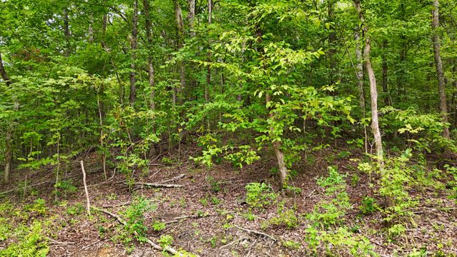 0 Sulphur Creek Rd, Nashville, TN 37218