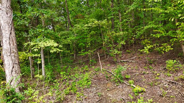 0 Sulphur Creek Rd, Nashville, TN 37218