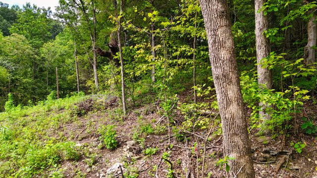 0 Sulphur Creek Rd, Nashville, TN 37218