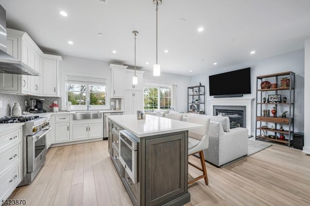 5 Mcnerney Ln, Florham Park Boro, NJ 07932