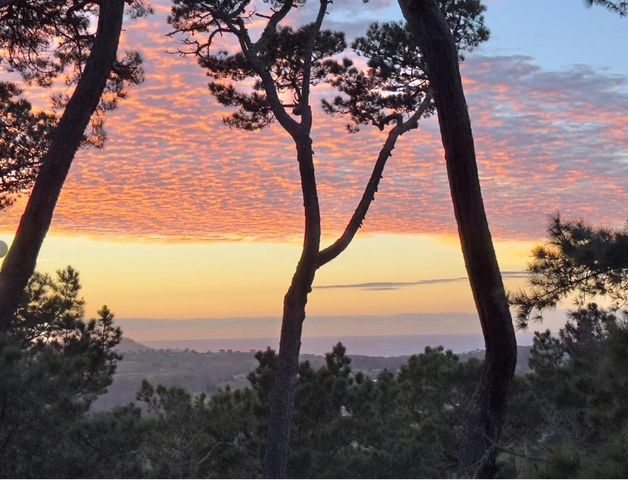 31 Del Mesa Carmel, Carmel, CA 93923