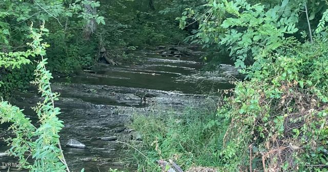 501 Williams Road, Rogersville, TN 37857
