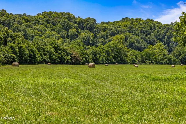 501 Williams Road, Rogersville, TN 37857