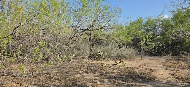 7622 N Los Charcos Drive, Mission, TX 78572