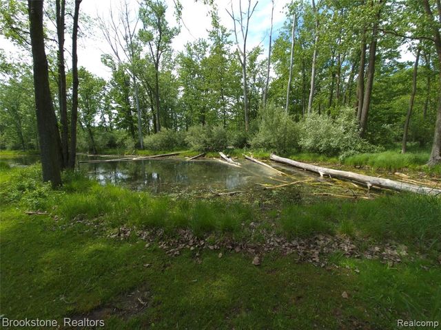 5910 Spring Valley Lane, Dryden, MI 48428