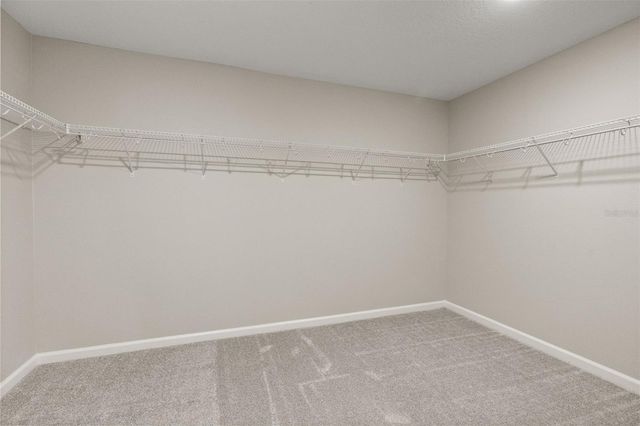 1542 SUGARBELLE CIRCLE, Mascotte, FL 34753