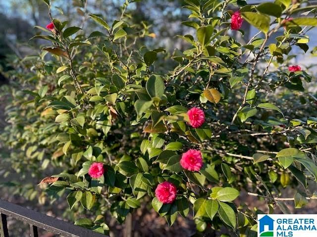 109 HILLSIDE ROAD, Bessemer, AL 35020