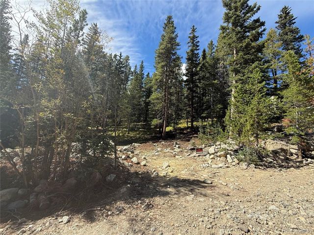 151 Lake Road, Idaho Springs, CO 80452
