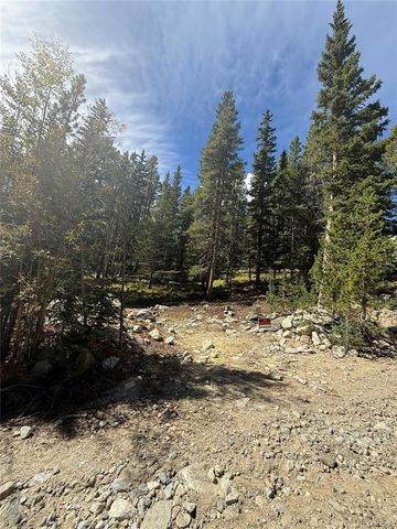 151 Lake Road, Idaho Springs, CO 80452