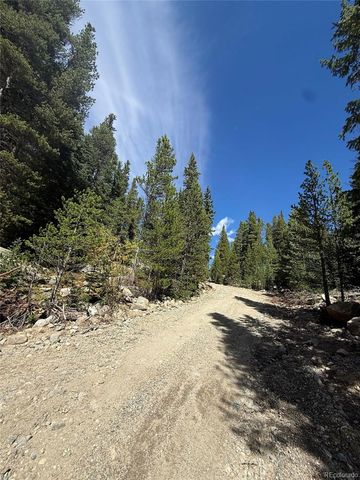 151 Lake Road, Idaho Springs, CO 80452