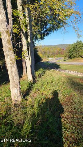 1613 New Hope Rd, Rockwood, TN 37854