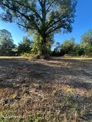 224 W Holly Street, Magnolia, MS 39652