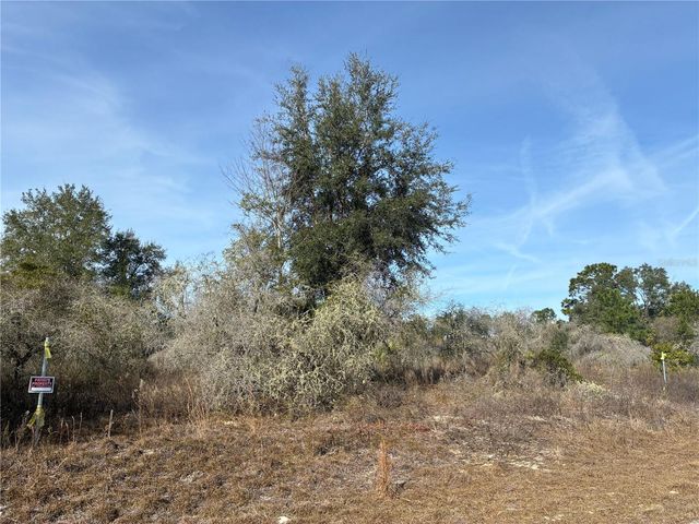 SE 126TH TERRACE, Dunnellon, FL 34431