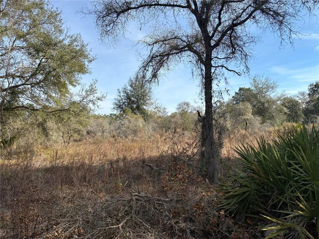 SE 126TH TERRACE, Dunnellon, FL 34431