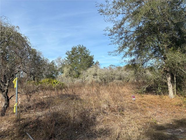 SE 126TH TERRACE, Dunnellon, FL 34431