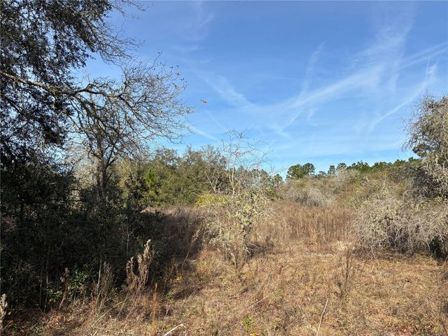 SE 126TH TERRACE, Dunnellon, FL 34431