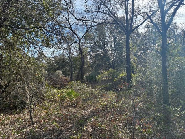 SE 126TH TERRACE, Dunnellon, FL 34431