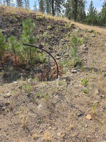 XX Syringa Way, Nine Mile Falls, WA 99026