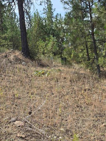 XX Syringa Way, Nine Mile Falls, WA 99026