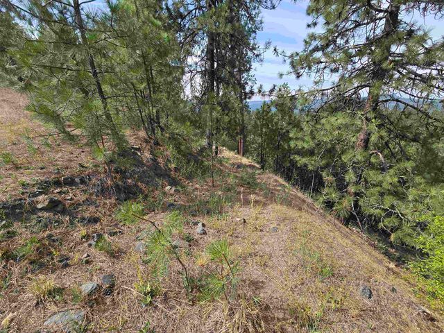 XX Syringa Way, Nine Mile Falls, WA 99026