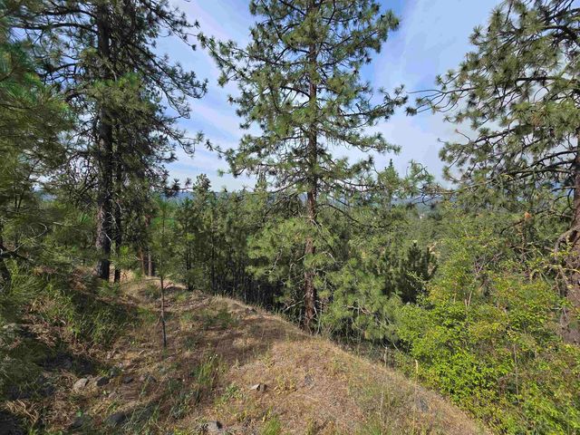 XX Syringa Way, Nine Mile Falls, WA 99026