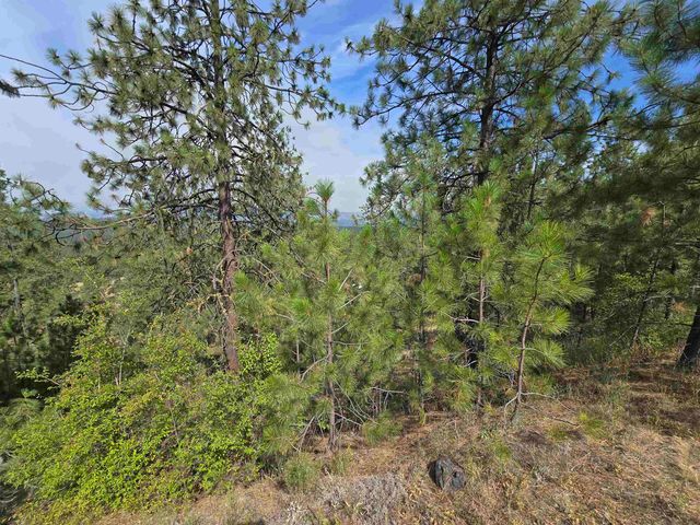 XX Syringa Way, Nine Mile Falls, WA 99026
