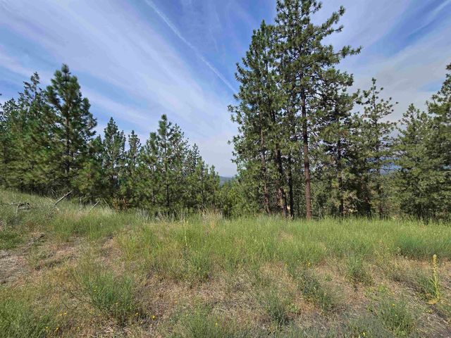 XX Syringa Way, Nine Mile Falls, WA 99026