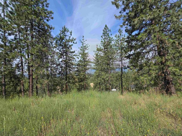 XX Syringa Way, Nine Mile Falls, WA 99026