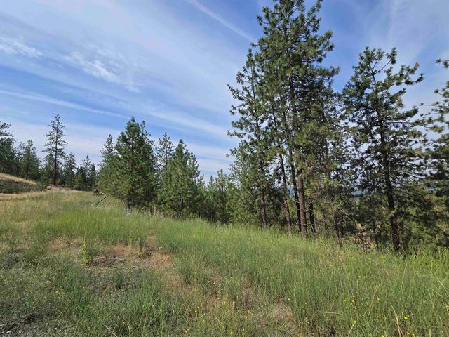 XX Syringa Way, Nine Mile Falls, WA 99026