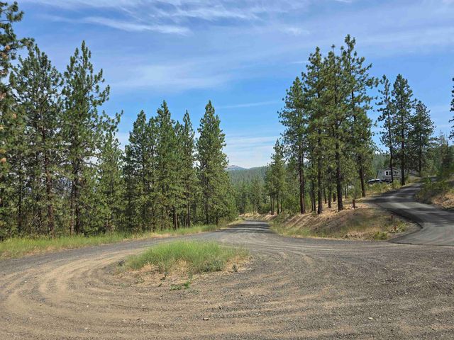 XX Syringa Way, Nine Mile Falls, WA 99026