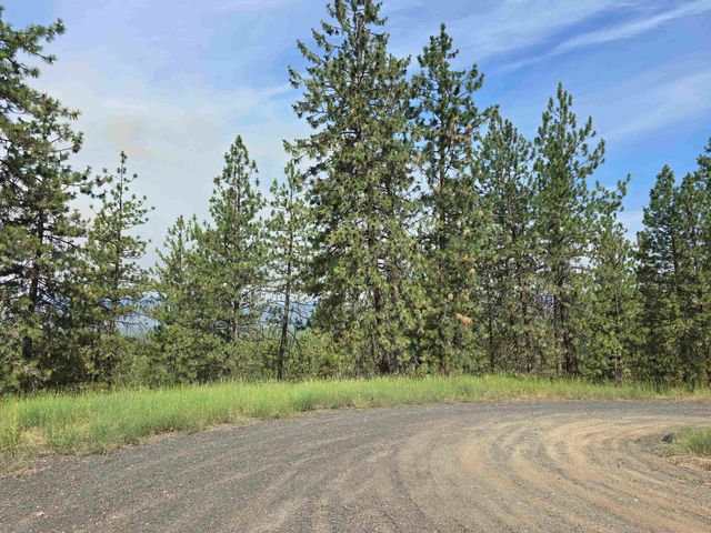 XX Syringa Way, Nine Mile Falls, WA 99026