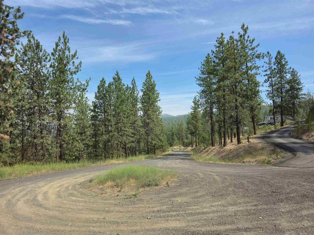 XX Syringa Way, Nine Mile Falls, WA 99026