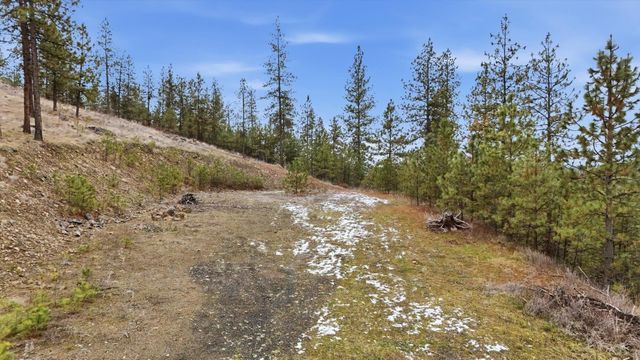 XX Syringa Way, Nine Mile Falls, WA 99026
