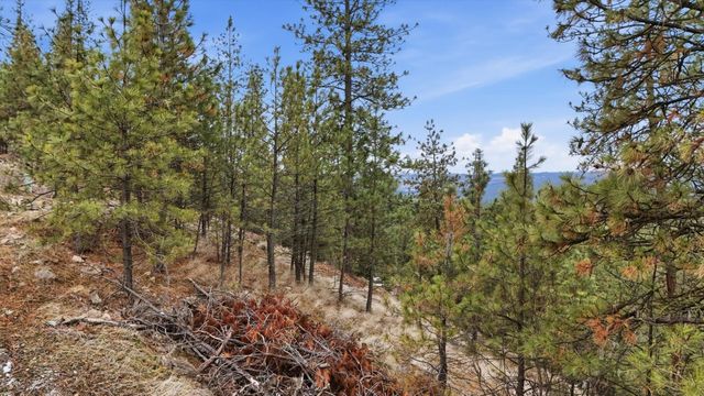 XX Syringa Way, Nine Mile Falls, WA 99026