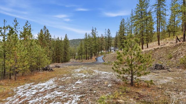XX Syringa Way, Nine Mile Falls, WA 99026