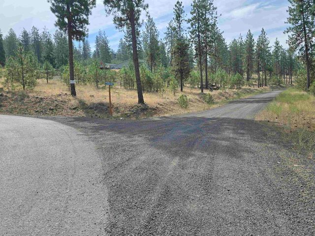 XX Syringa Way, Nine Mile Falls, WA 99026