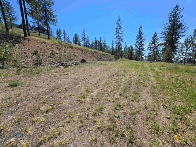 XX Syringa Way, Nine Mile Falls, WA 99026