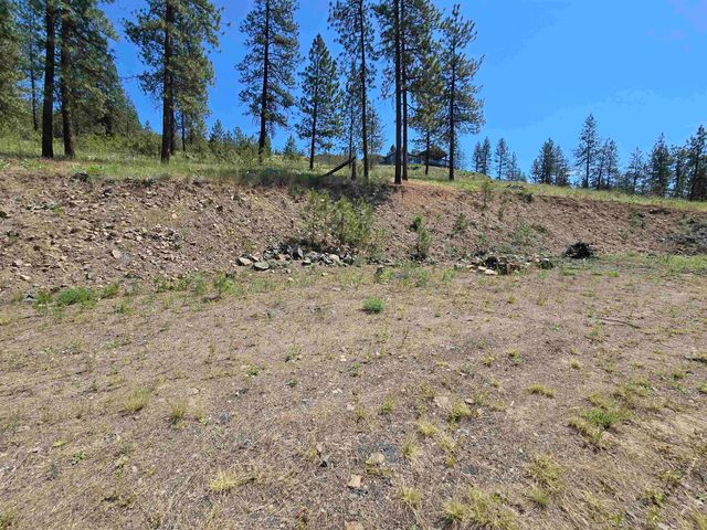 XX Syringa Way, Nine Mile Falls, WA 99026