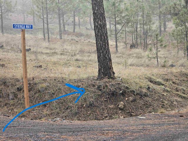 XX Syringa Way, Nine Mile Falls, WA 99026