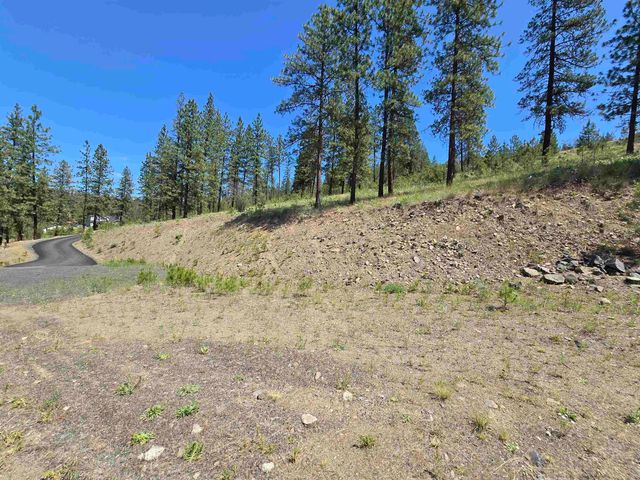 XX Syringa Way, Nine Mile Falls, WA 99026