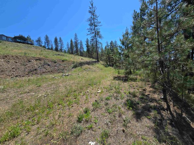 XX Syringa Way, Nine Mile Falls, WA 99026